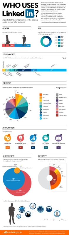 Marketing-Mojo_LinkedIn_Demographics_Infographic